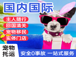 龙洞堡航空快运国际宠物托运 【国